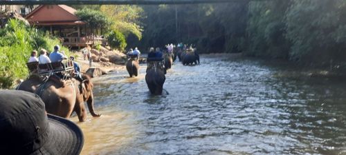 20240121 Voyage Thailande-parc-des-elephants-de-Maetaeng