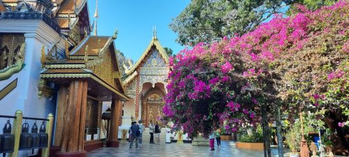 20240122 Voyage Thailande -Temple de chiang-mai