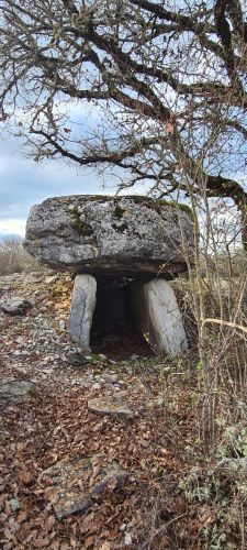 Dolmen-Espedaillac (1)