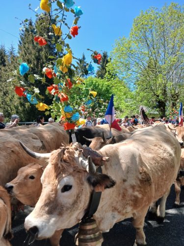 AUBRAC