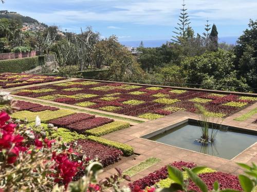Jardin Botanique de Funchal
