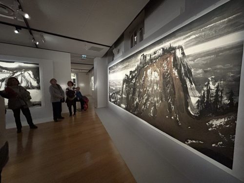 MUSEE DES ARTS PRECIEUX