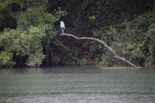 croisiere-sur-le-tarn