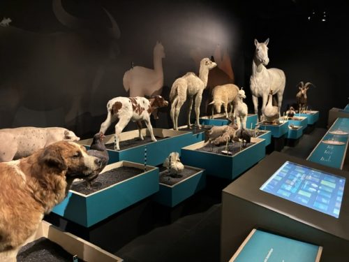 MUSEUM EXPO DOMESTIQUE MOI SI TU PEUX